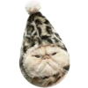 Goddamn cats 29