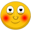 face 23