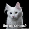 Are you serious?
http://www.robbahou.com