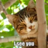 I see you
