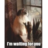 I'm waiting for you
