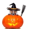 MICTEP DOG 12