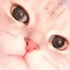 MIAW NA JI 6