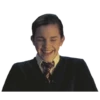 harry potter 8