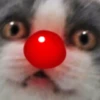 Lirik Holidays 9