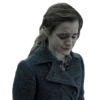 harry potter 10