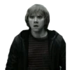 harry potter 11