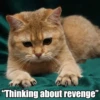 "Thinking about revenge"