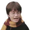 harry potter 12