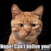 Nope! Can't belive you!
http://www.roblahou.com/