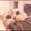 MIAW NA JI 9