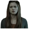 harry potter 14