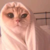 MIAW NA JI 10