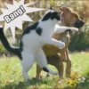 Bang!
