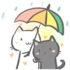 live of two cats 13