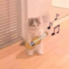 MIAW NA JI 11