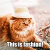 This is fashion!