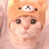 MIAW NA JI 14