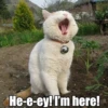 He-e-ey! I'm here!