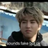 Kpop MeME 20