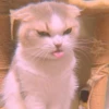 MIAW NA JI 16