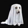 MICTEP DOG 17