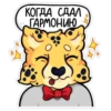 Гепарды-мYзыканты 12