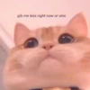 MIAW NA JI 18