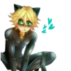 miraculous 22