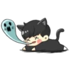 el the black cat 18