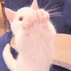 MIAW NA JI 20