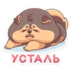 mochi_vk 19