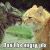 Don't be angry, pls