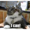 I can!