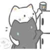 live of two cats 17