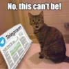 No, this can't be!
Telegram
NEWS=
큐
HAL