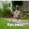 Run away!