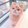 MIAW NA JI 22