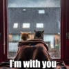 I'm with you