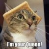 I'm your Queen!