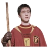 harry potter 21