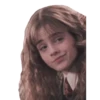 harry potter 22