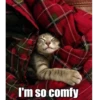 I'm so comfy