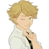 miraculous 29