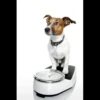 MICTEP DOG 24