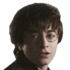 harry potter 23
