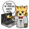 Гепарды-мYзыканты 18
