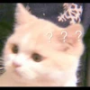 MIAW NA JI 30