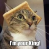 I'm your King!
