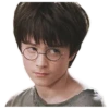 harry potter 28